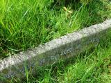 image of grave number 292486